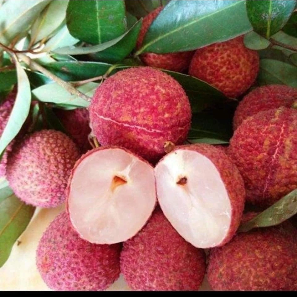 Vải Không Hạt_thumbnail_1