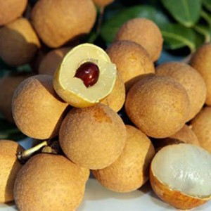 Nhãn siêu chín sớm_thumbnail_3