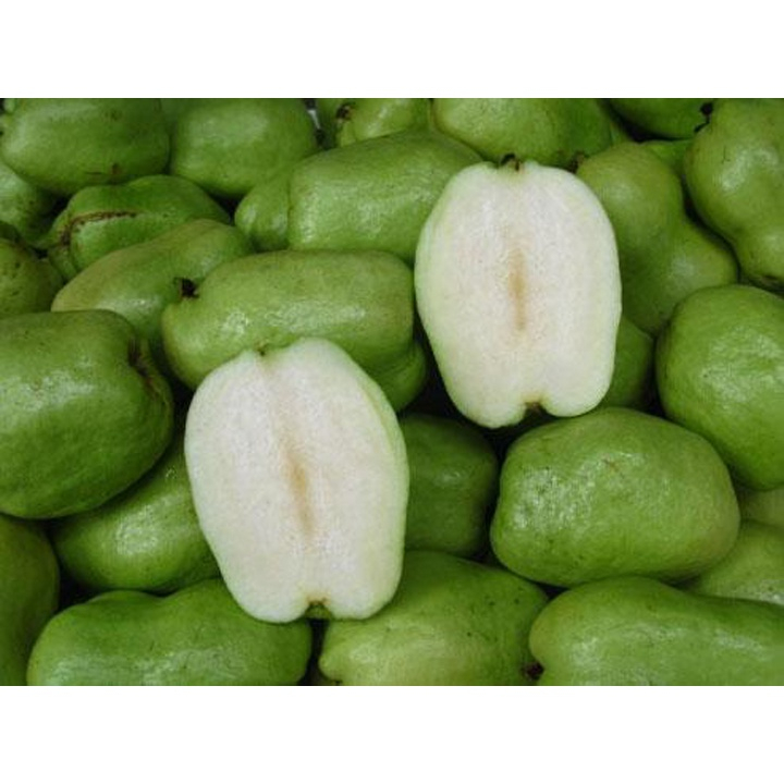 Ổi Không Hạt_thumbnail_1