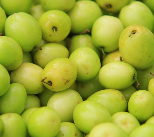 Táo Chua_thumbnail_1