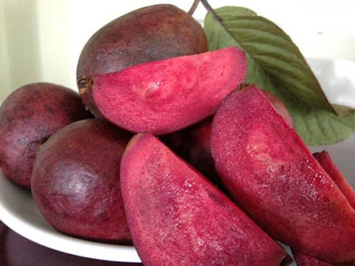 Ổi Tím_thumbnail_1