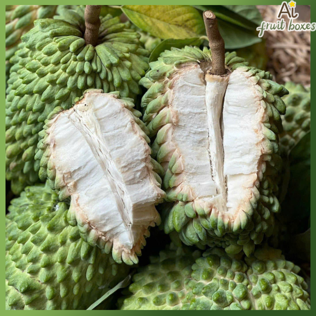 Na Sầu Riêng_thumbnail_2