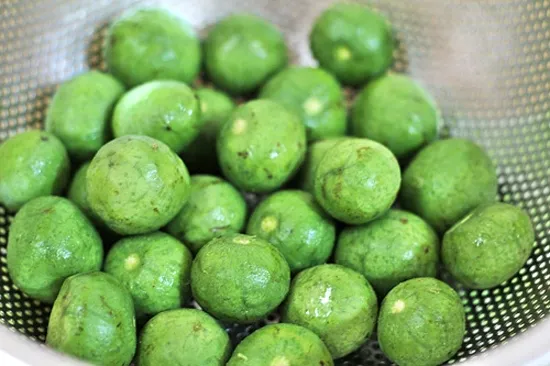 Sấu Ghép_thumbnail_2