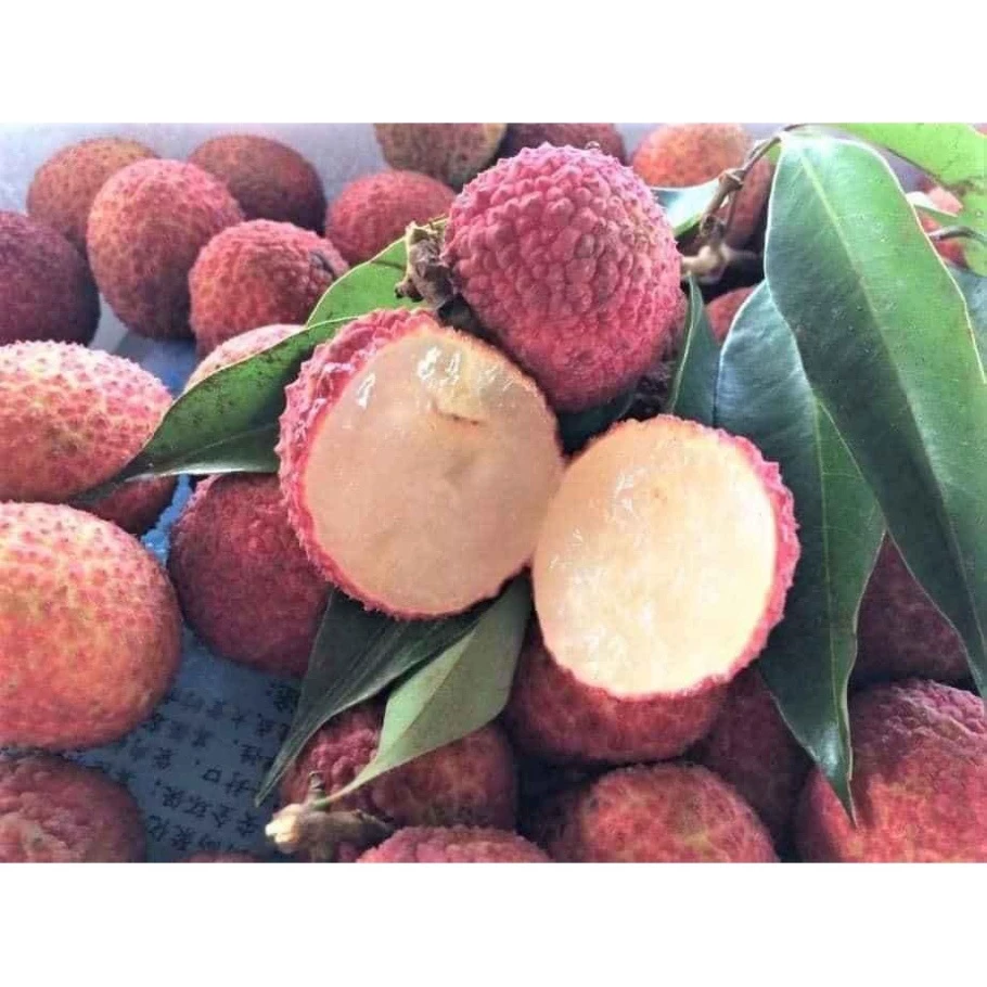 Vải Không Hạt_thumbnail_2