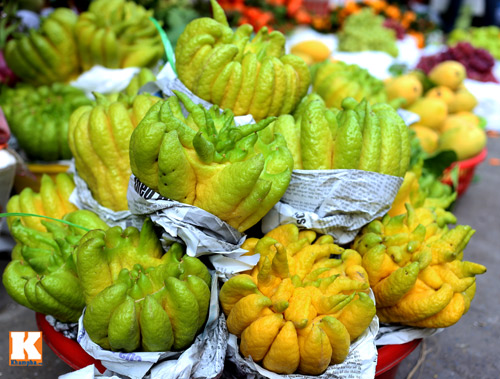 Phật Thủ_thumbnail_2