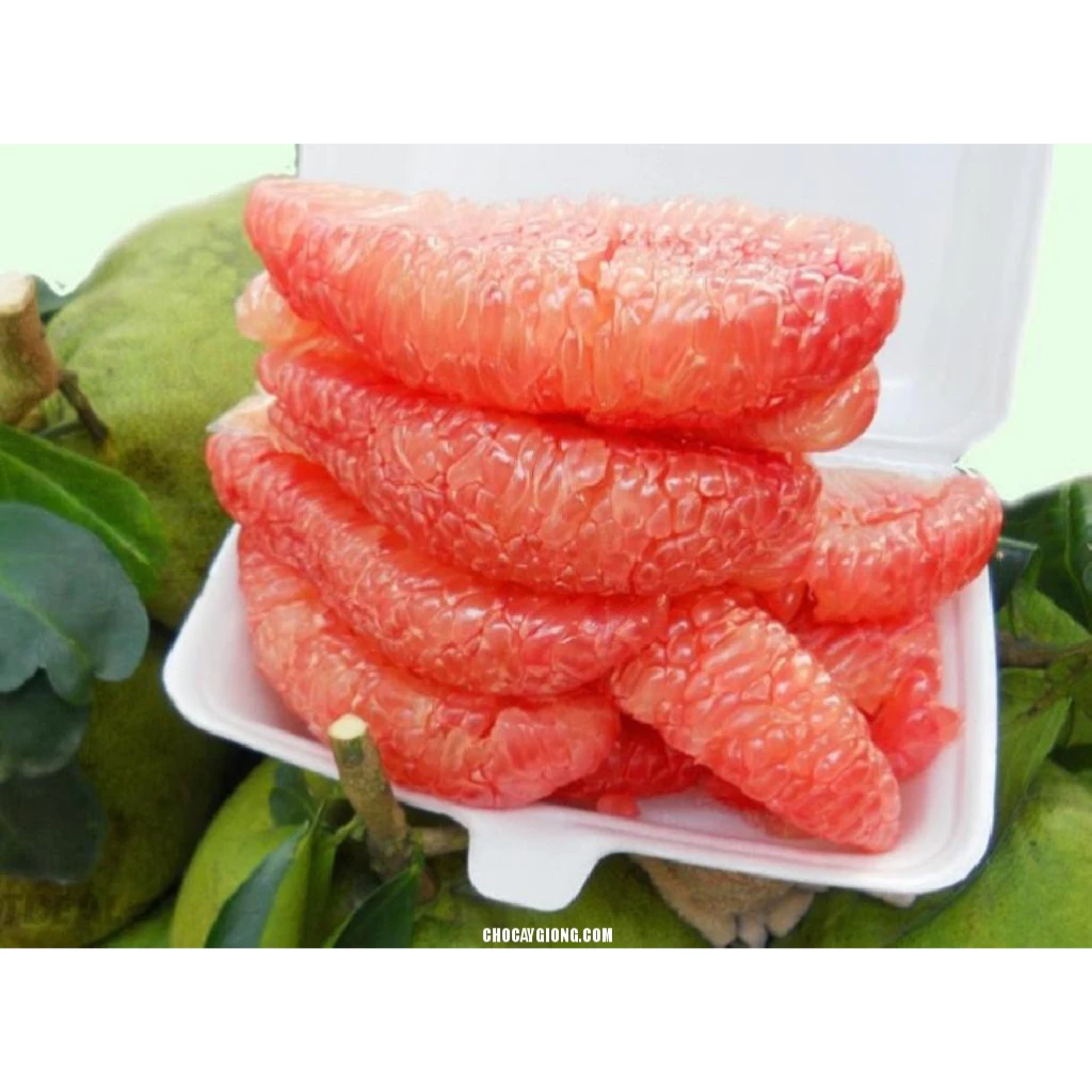 Bưởi Đỏ Tân Lạc_thumbnail_2