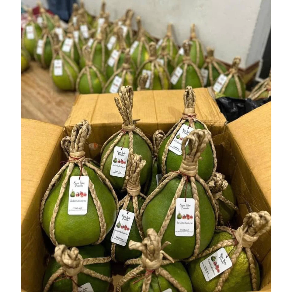 Bưởi Ruby_thumbnail_3