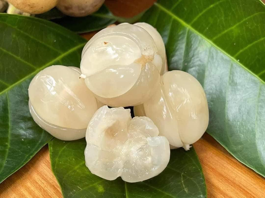 Bòn Bon Thái_thumbnail_4