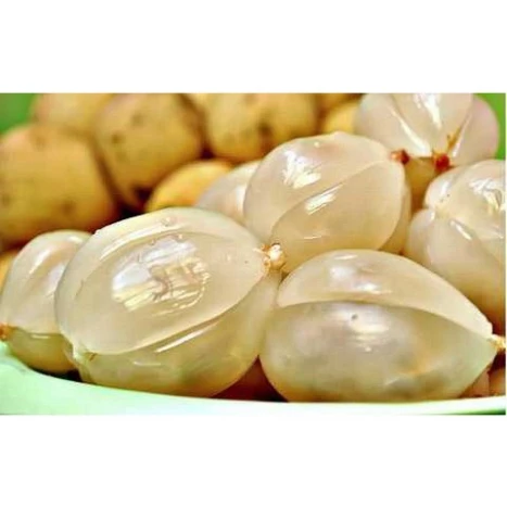 Bòn Bon Thái_thumbnail_2