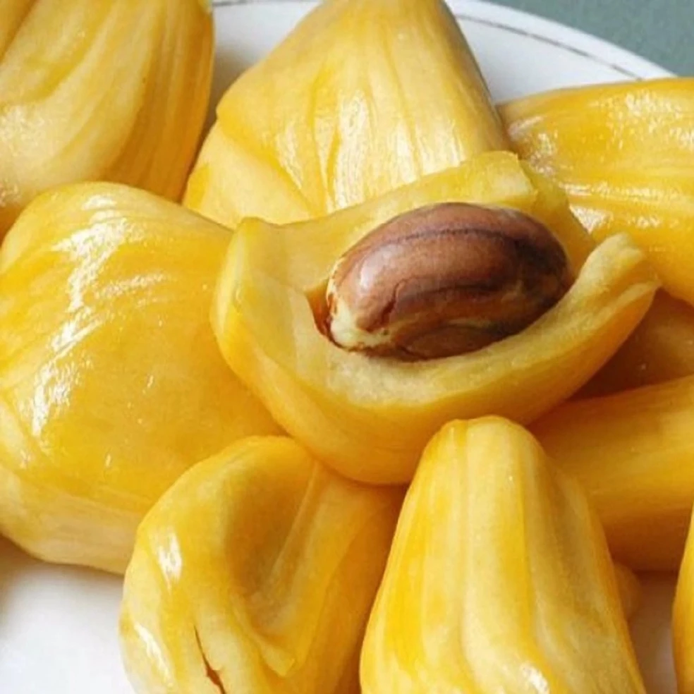 Mít Tứ Quý_thumbnail_1