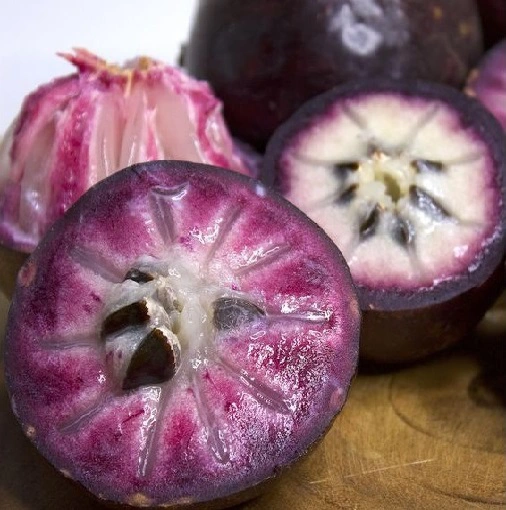 Vú Sữa Mika_thumbnail_1