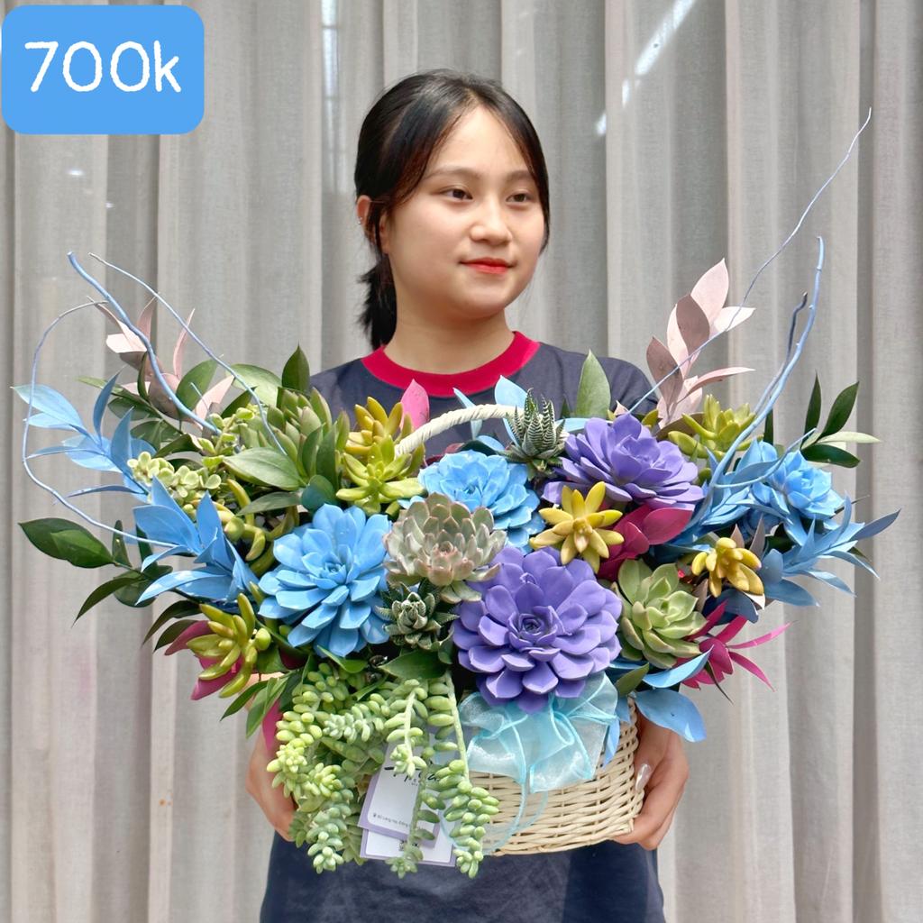 Giỏ sen đá mây trắng 02