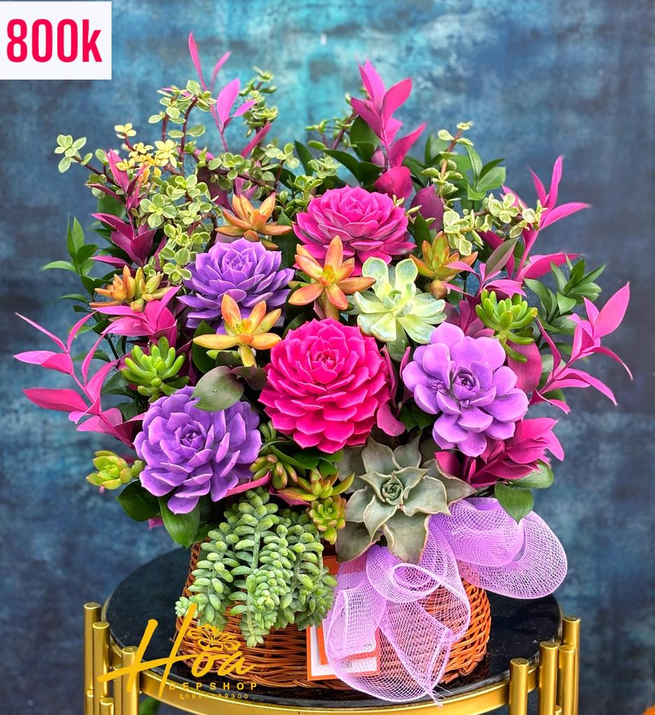 Mây nâu sen đá 03