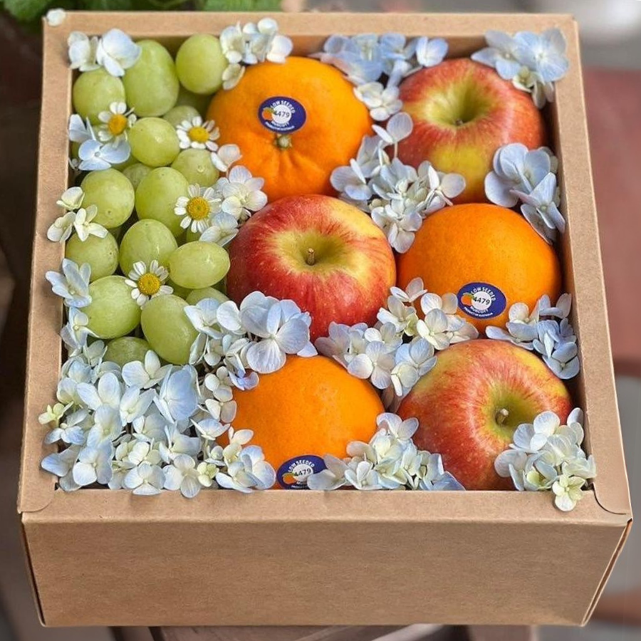 Hộp quà tặng trái cây - H601