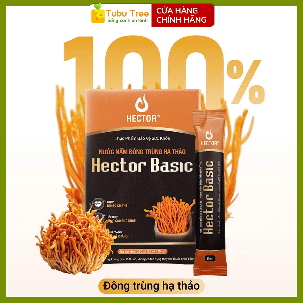 Nước Nấm Đông Trùng Hạ Thảo HECTOR BASIC Dạng Túi 25ml x 10 Gói — ảnh 2