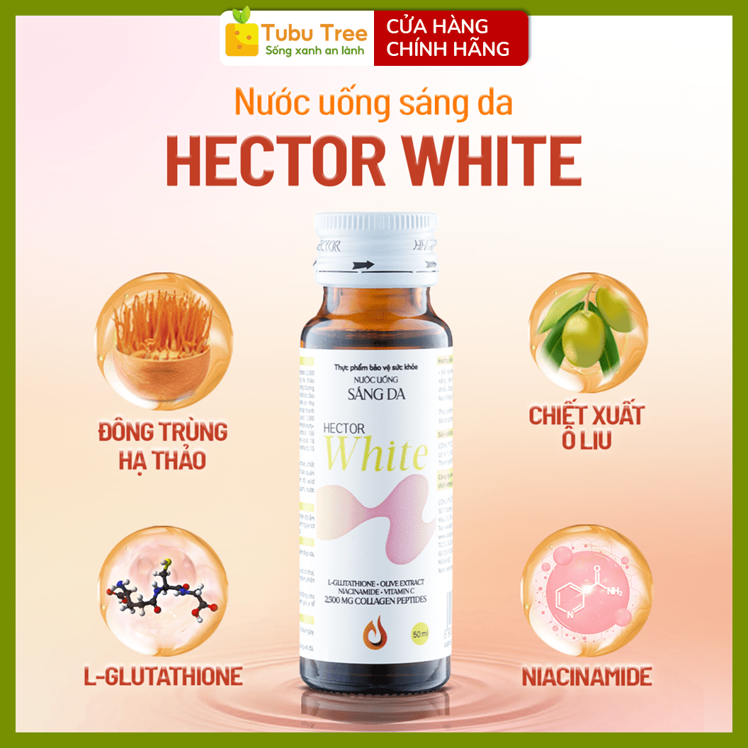 Nước Uống Sáng Da HECTOR White Collagen Đông Trùng Hạ Thảo 50ml x 10 Lọ — ảnh 6