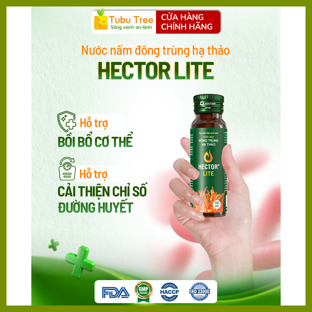 Nước Đông Trùng Hạ Thảo HECTOR Lite Thanh Lọc Cơ Thể 70ml x 10 Chai - điều hòa đường huyết — ảnh 3
