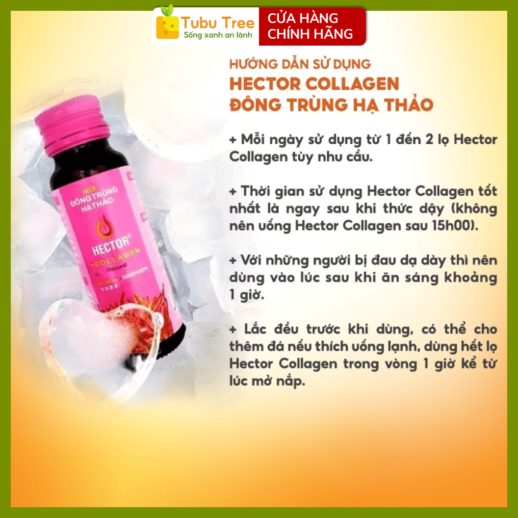 Nước Nấm Đông Trùng Hạ Thảo Hector Collagen 50ml x 10 bổ sung collagen hỗ trợ đẹp da — ảnh 5