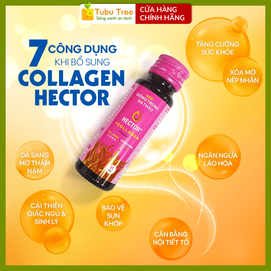 Nước Nấm Đông Trùng Hạ Thảo Hector Collagen 50ml x 10 bổ sung collagen hỗ trợ đẹp da — ảnh 2