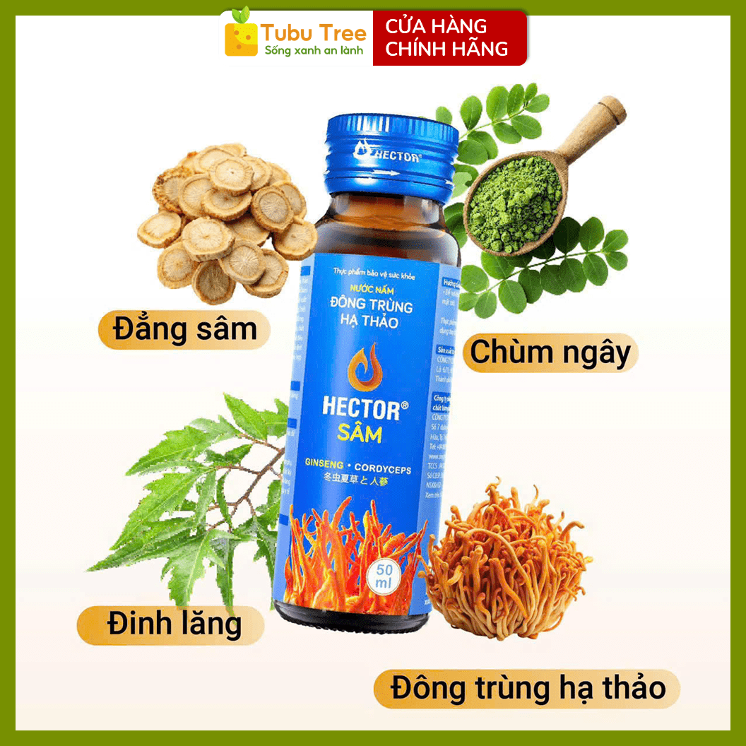 Nước Đông Trùng Hạ Thảo HECTOR Sâm Tăng Cường Sức Khỏe 70ml x 10 Chai — ảnh 2