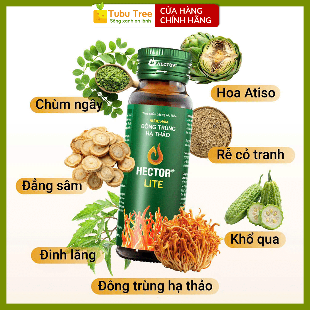 Nước Đông Trùng Hạ Thảo HECTOR Lite Thanh Lọc Cơ Thể 70ml x 10 Chai - điều hòa đường huyết — ảnh 2
