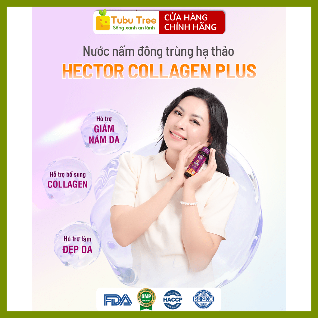 Nước Đông Trùng Hạ Thảo HECTOR Collagen Plus Đẹp Da Chống Lão Hóa 70ml x 10 Chai — ảnh 5