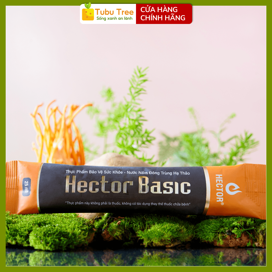 Nước Nấm Đông Trùng Hạ Thảo HECTOR BASIC Dạng Túi 25ml x 10 Gói — ảnh 6