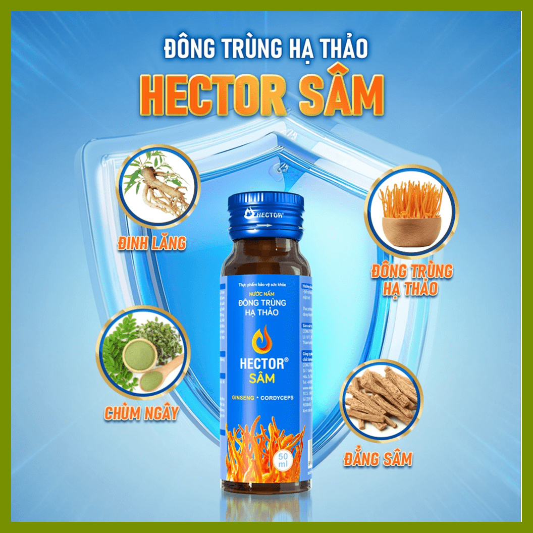 Nước Đông Trùng Hạ Thảo HECTOR Sâm Tăng Cường Sức Khỏe 70ml x 10 Chai — ảnh 4