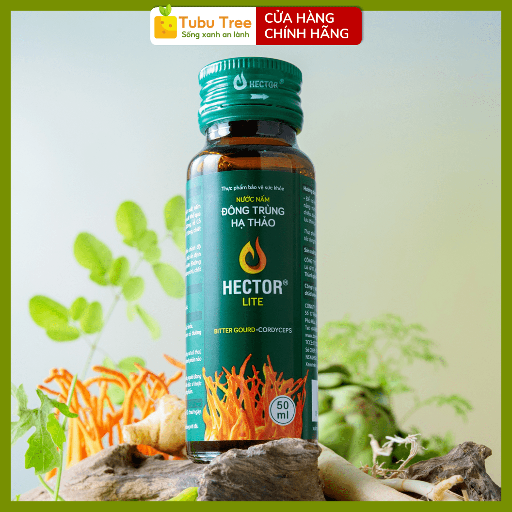 Nước Đông Trùng Hạ Thảo HECTOR Lite Thanh Lọc Cơ Thể 70ml x 10 Chai - điều hòa đường huyết — ảnh 7