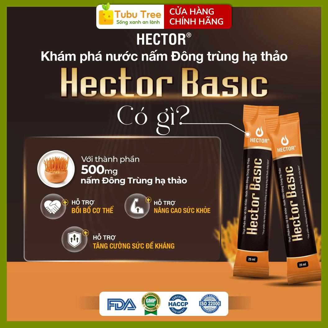 Nước Nấm Đông Trùng Hạ Thảo HECTOR BASIC Dạng Túi 25ml x 10 Gói — ảnh 3
