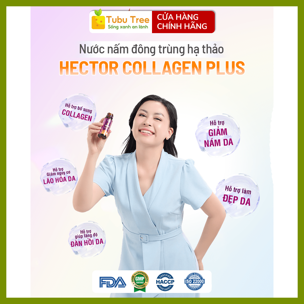 Nước Đông Trùng Hạ Thảo HECTOR Collagen Plus Đẹp Da Chống Lão Hóa 70ml x 10 Chai — ảnh 4