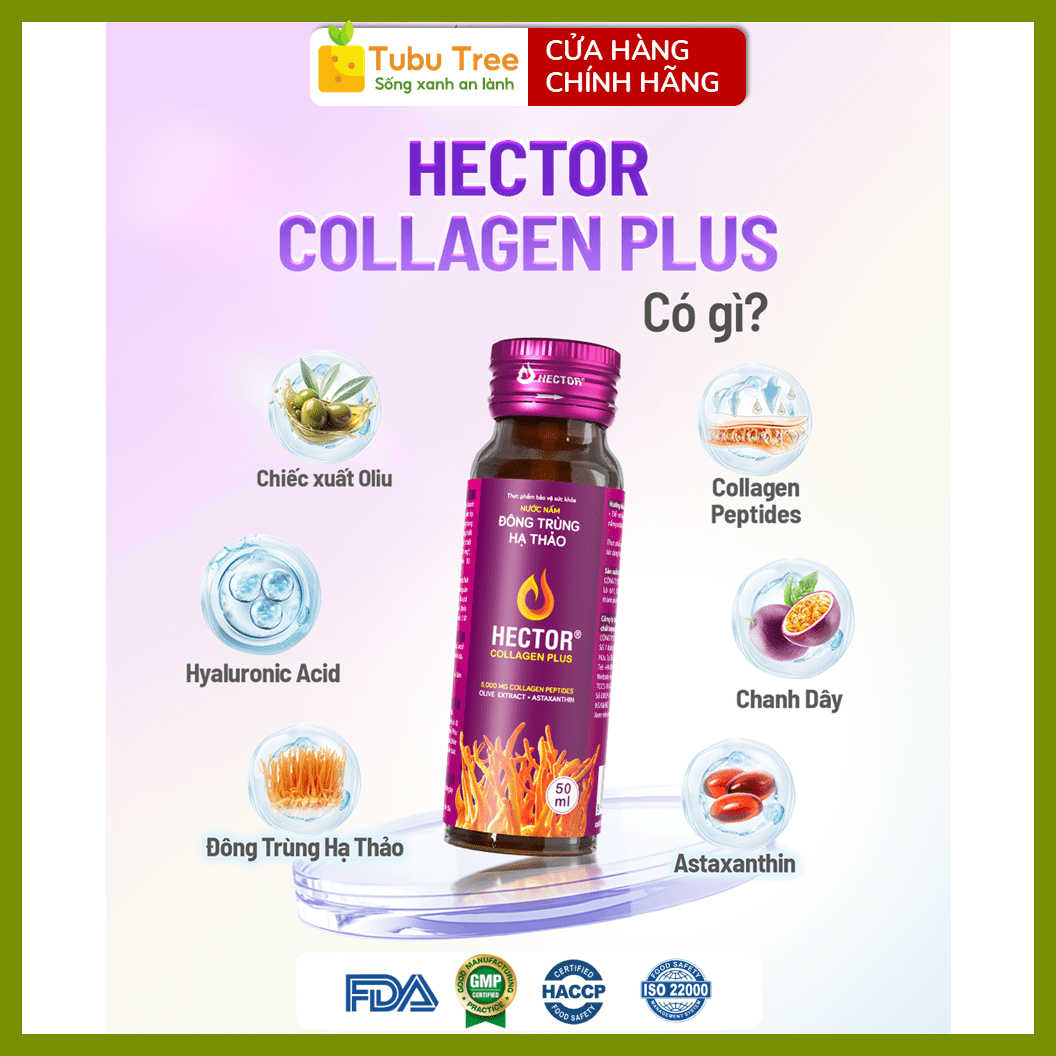 Nước Đông Trùng Hạ Thảo HECTOR Collagen Plus Đẹp Da Chống Lão Hóa 70ml x 10 Chai — ảnh 2