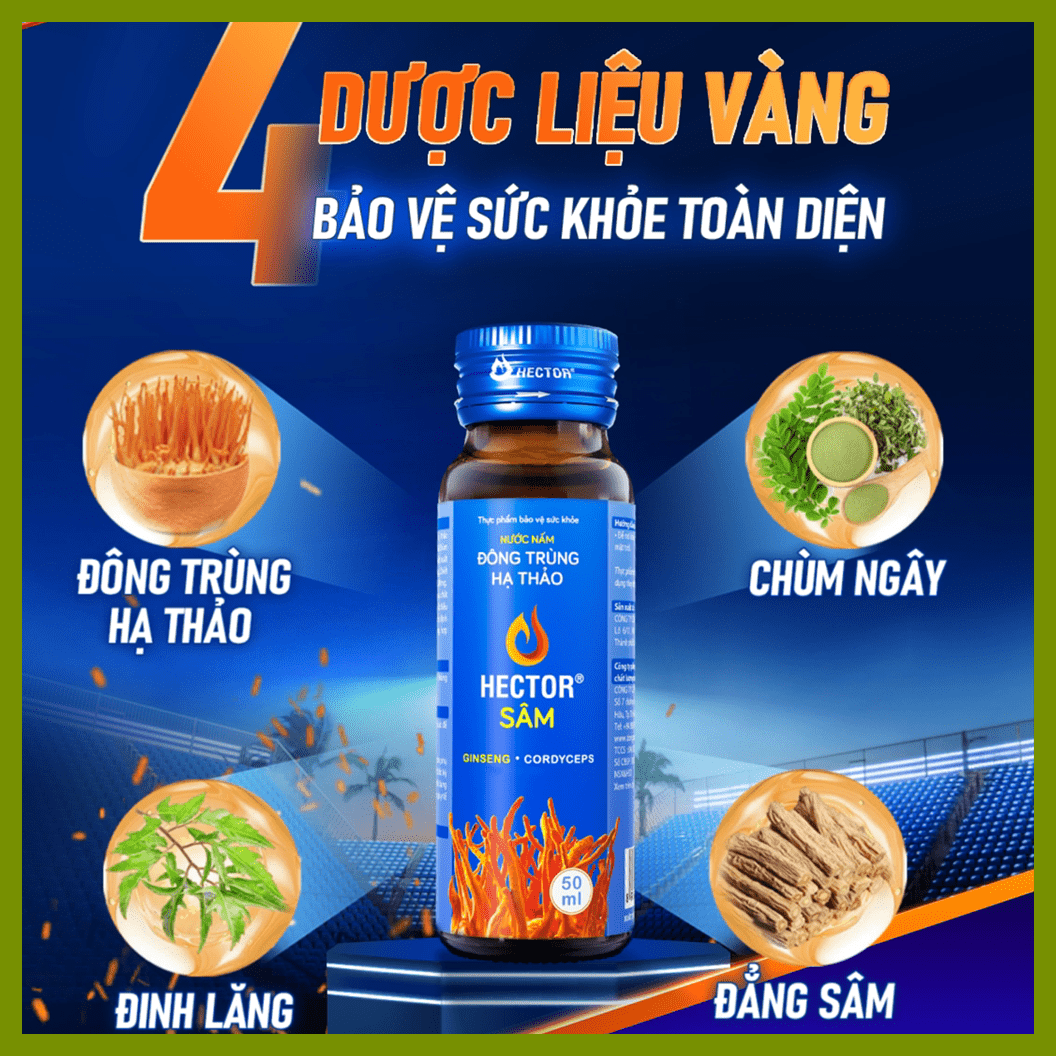 Nước Đông Trùng Hạ Thảo HECTOR Sâm Tăng Cường Sức Khỏe 70ml x 10 Chai — ảnh 3