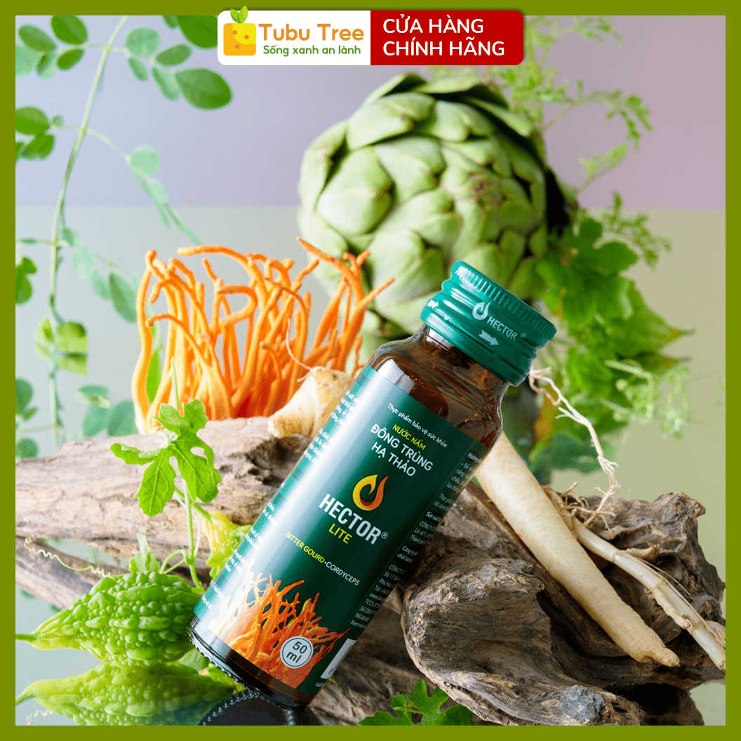 Nước Đông Trùng Hạ Thảo HECTOR Lite Thanh Lọc Cơ Thể 70ml x 10 Chai - điều hòa đường huyết — ảnh 8
