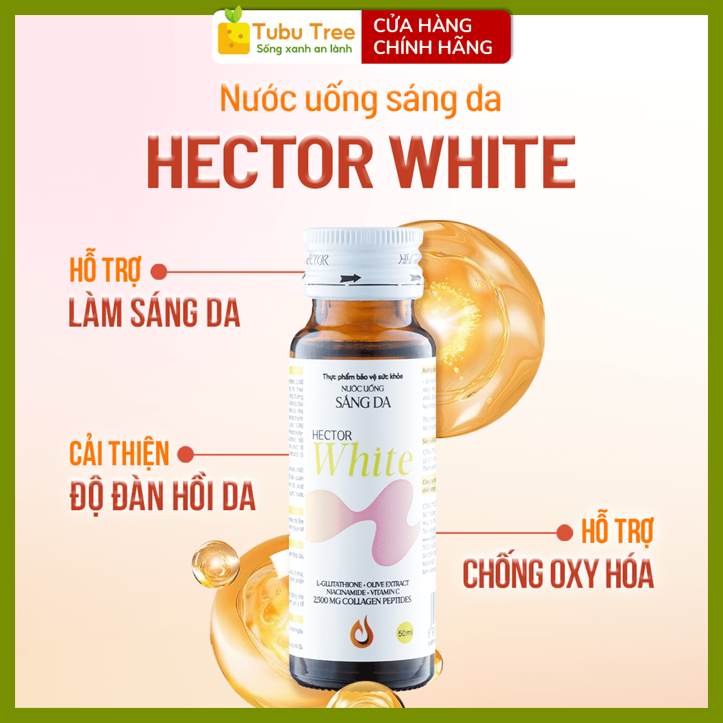 Nước Uống Sáng Da HECTOR White Collagen Đông Trùng Hạ Thảo 50ml x 10 Lọ — ảnh 3