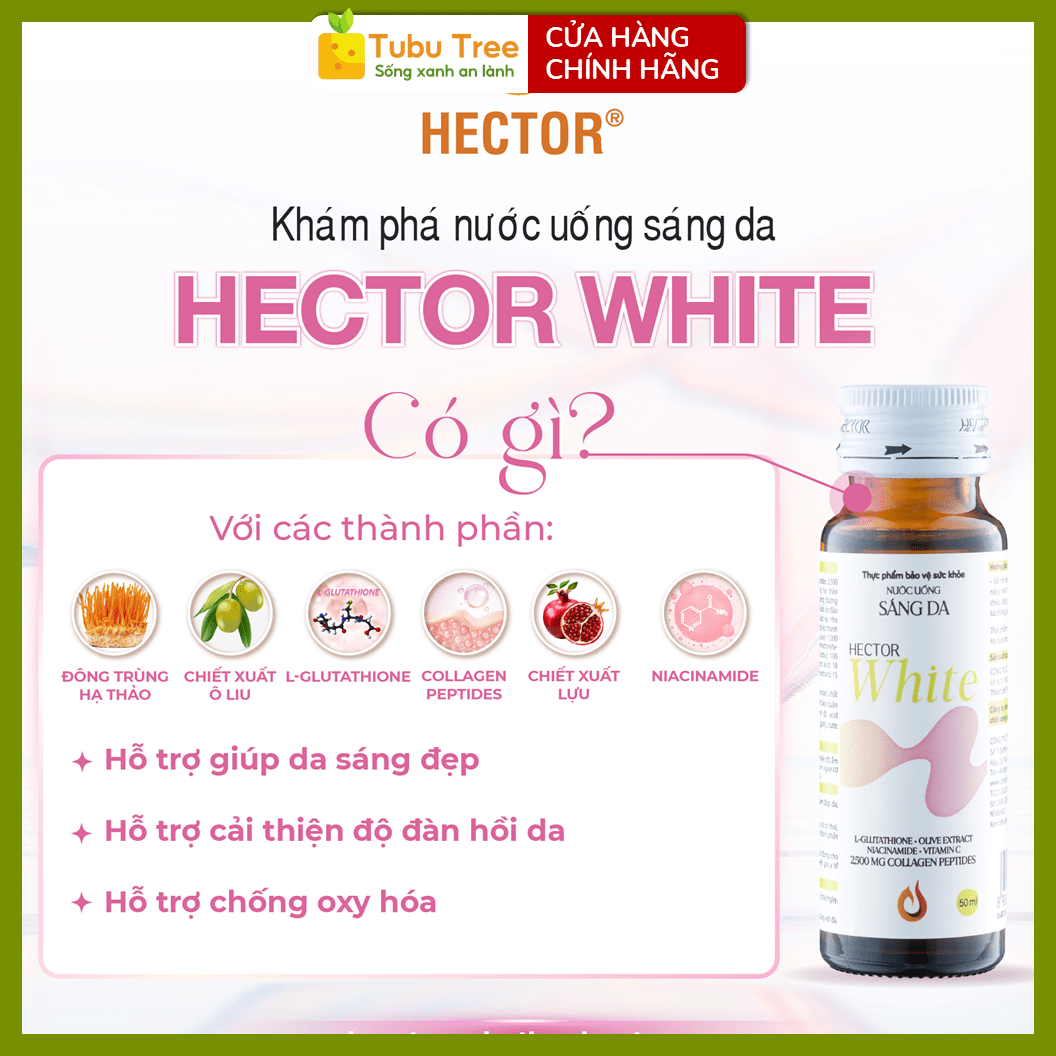 Nước Uống Sáng Da HECTOR White Collagen Đông Trùng Hạ Thảo 50ml x 10 Lọ — ảnh 5