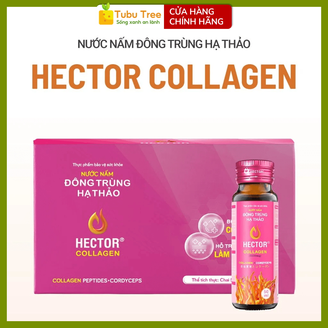 Nước Nấm Đông Trùng Hạ Thảo Hector Collagen 50ml x 10 bổ sung collagen hỗ trợ đẹp da — ảnh 7