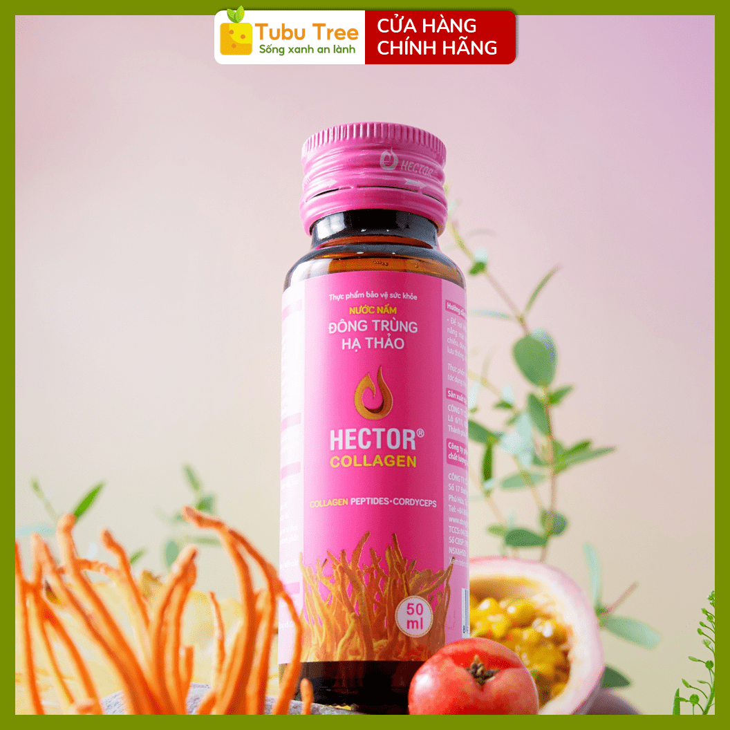 Nước Nấm Đông Trùng Hạ Thảo Hector Collagen 50ml x 10 bổ sung collagen hỗ trợ đẹp da — ảnh 6