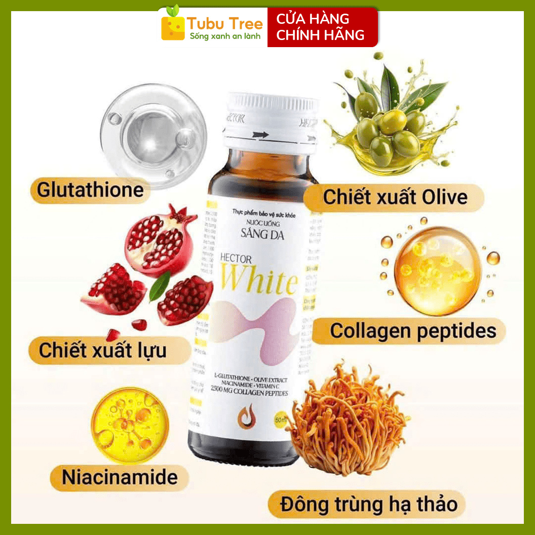 Nước Uống Sáng Da HECTOR White Collagen Đông Trùng Hạ Thảo 50ml x 10 Lọ — ảnh 2
