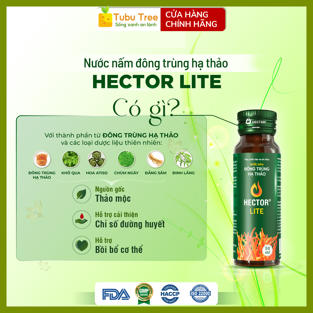Nước Đông Trùng Hạ Thảo HECTOR Lite Thanh Lọc Cơ Thể 70ml x 10 Chai - điều hòa đường huyết — ảnh 4