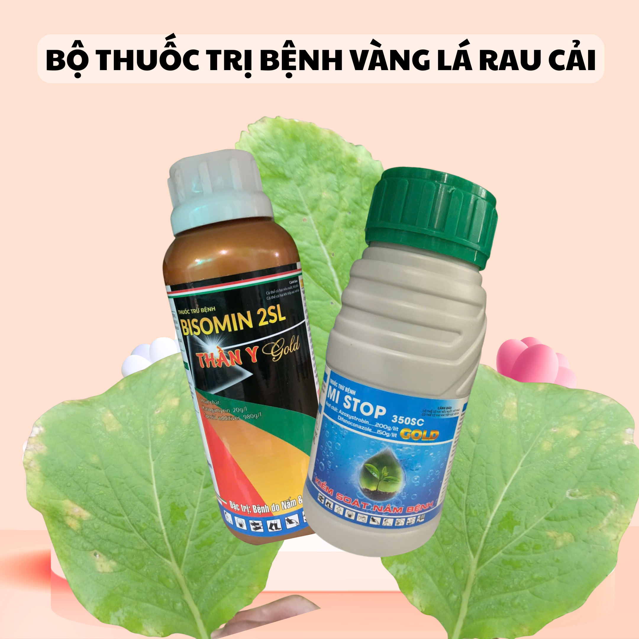 Bộ Thuốc Vàng Vi Khuẩn Rau Cải