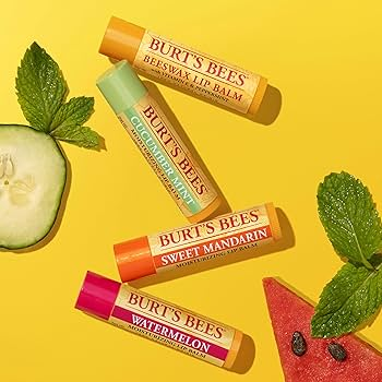 Burt's Bees Honey Moisturizing Lip Balm 4.25g