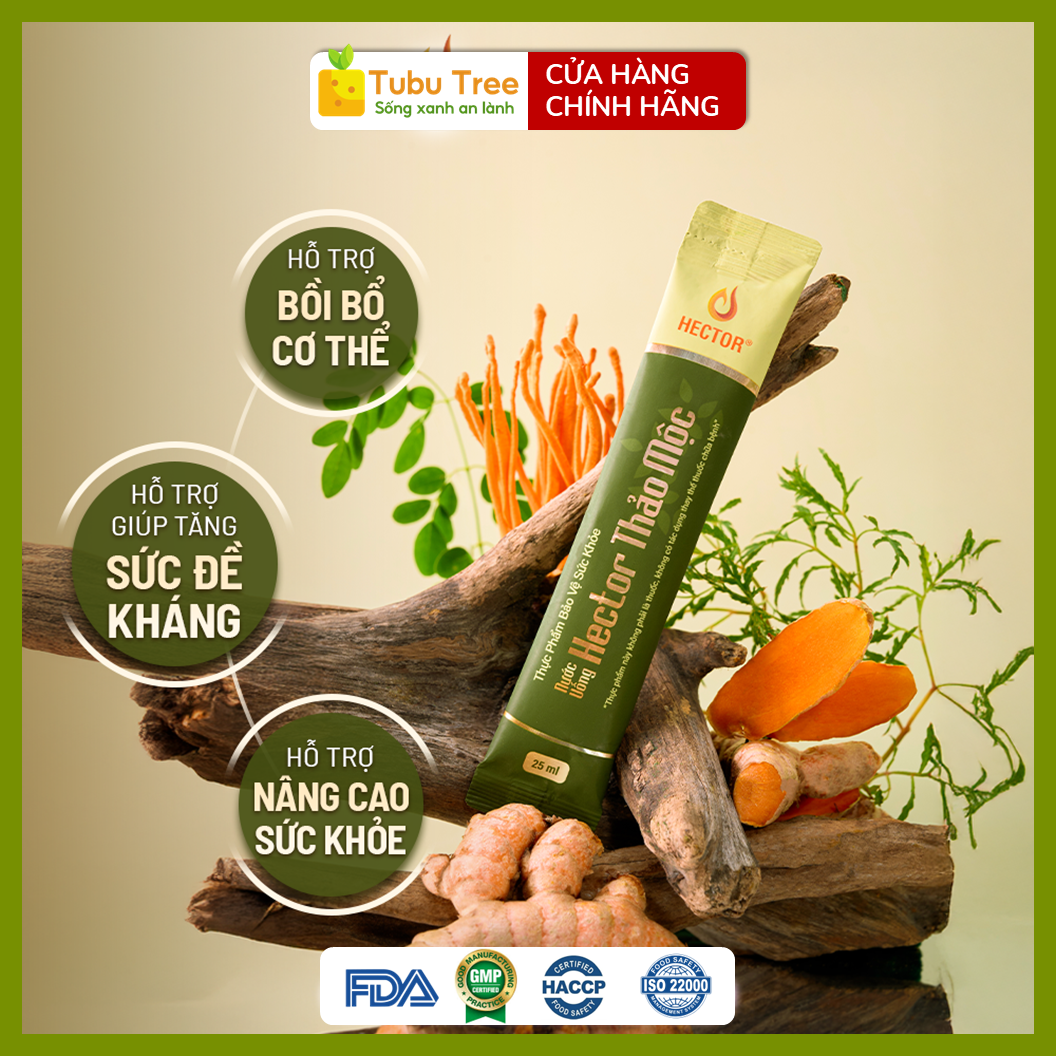 Nước Uống Đông Trùng Hạ Thảo Hector Thảo Mộc 25ml x 10 gói – Bồi Bổ Cơ Thể, Tăng Sức Đề Kháng