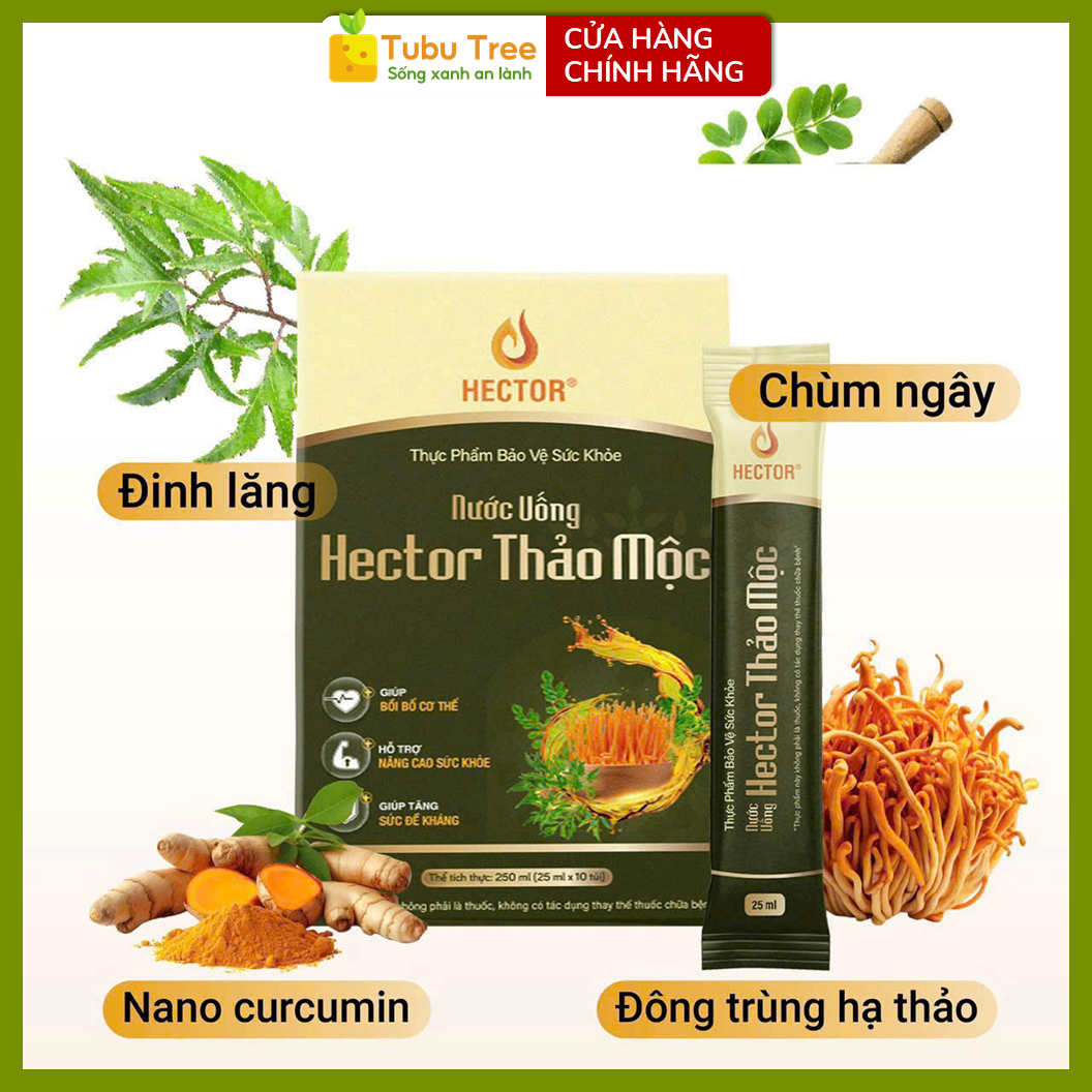 Nước Uống Đông Trùng Hạ Thảo Hector Thảo Mộc 25ml x 10 gói – Bồi Bổ Cơ Thể, Tăng Sức Đề Kháng — ảnh 2