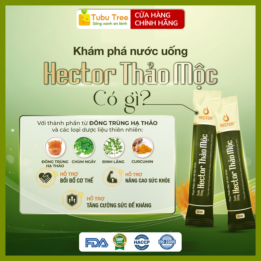 Nước Uống Đông Trùng Hạ Thảo Hector Thảo Mộc 25ml x 10 gói – Bồi Bổ Cơ Thể, Tăng Sức Đề Kháng — ảnh 3