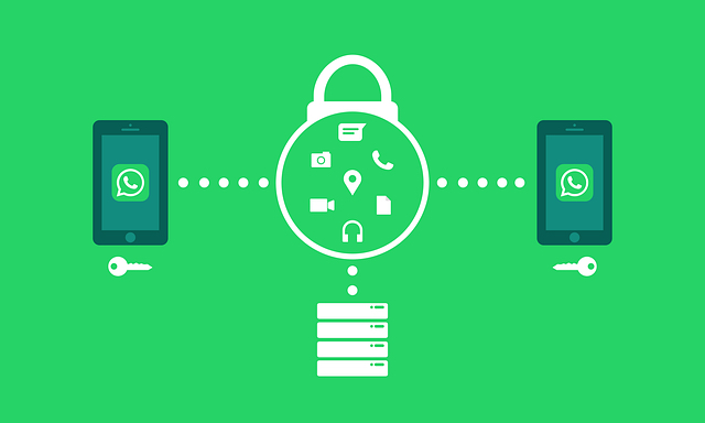 is-whatsapp-web-safe-for-business-and-personal-us