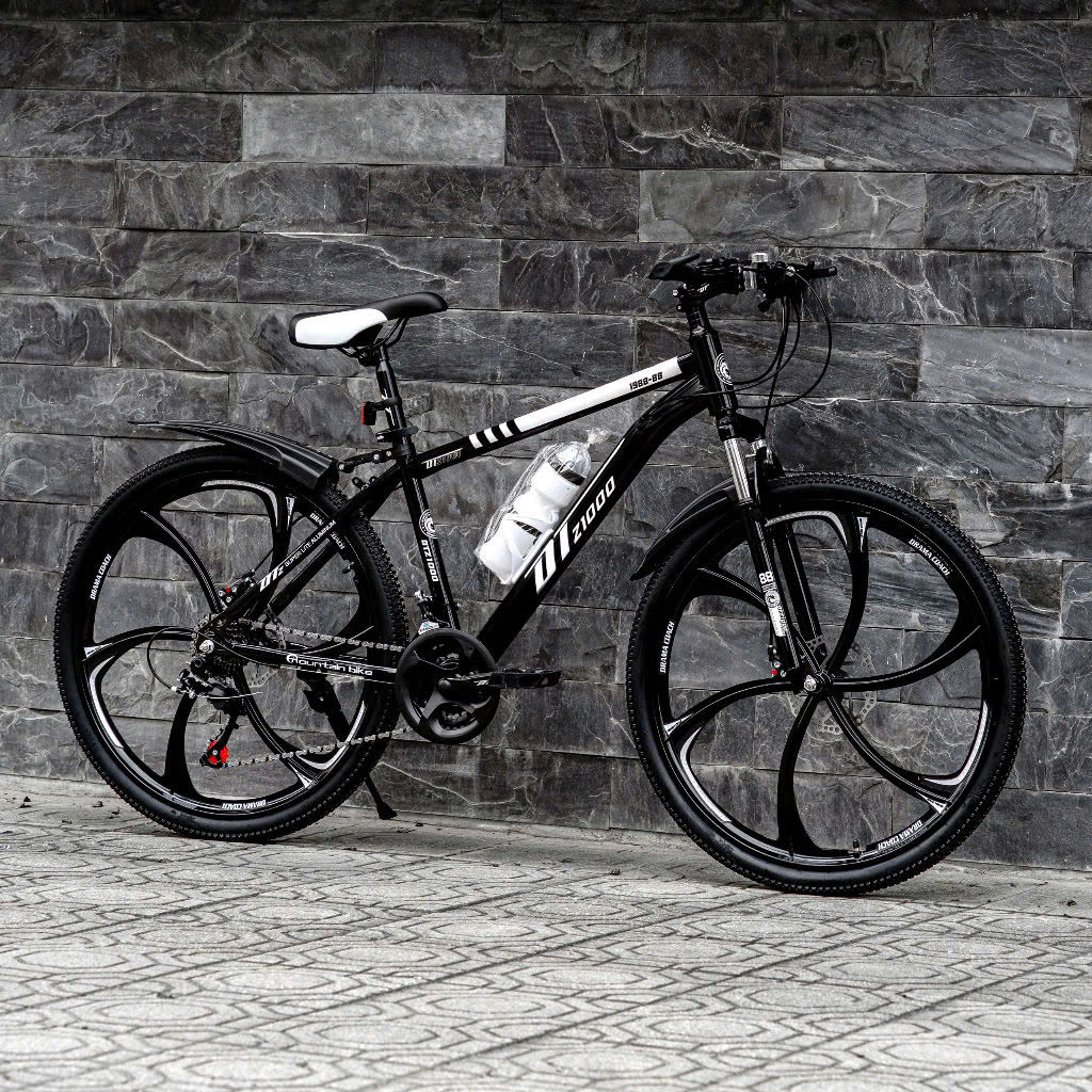 Xe đạp DT z1000 vành đúc 6 đao - Địa hình - thể thao