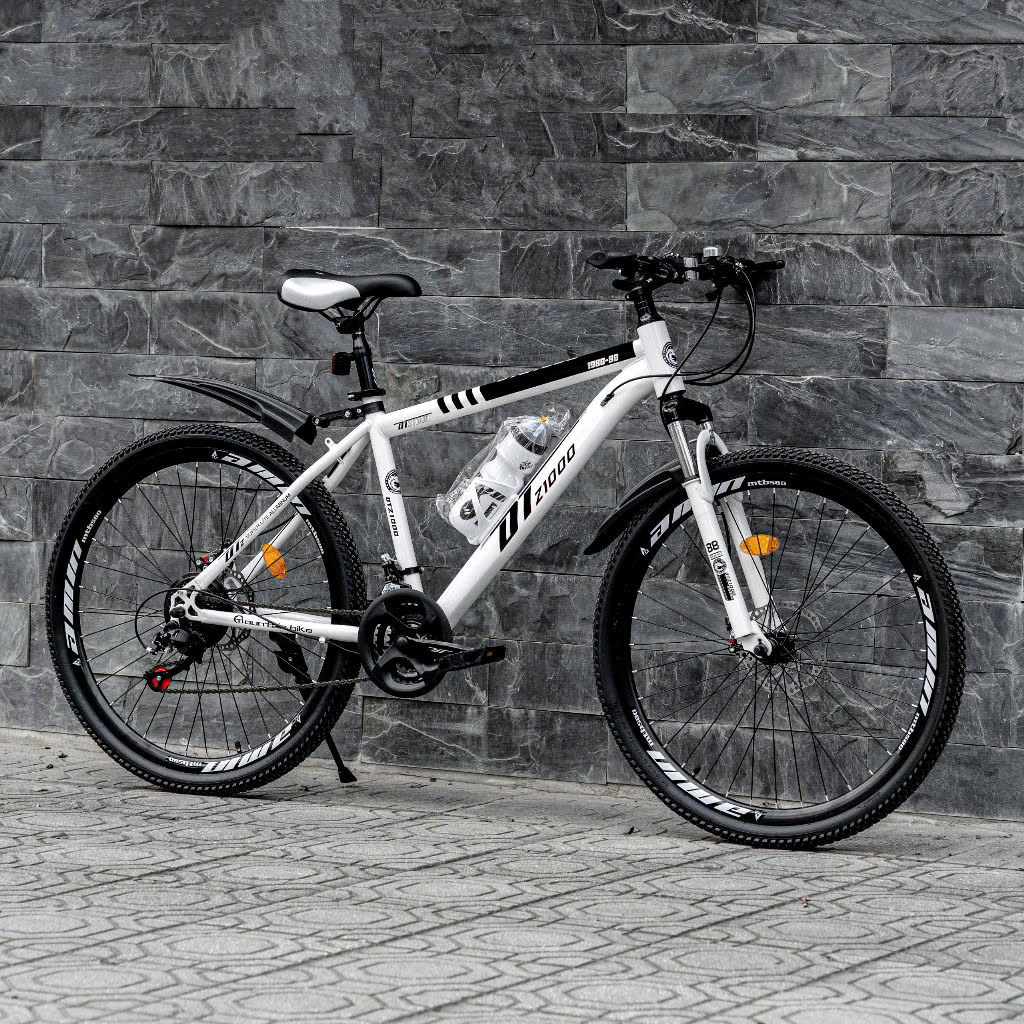 Xe đạp DT z1000 vành nan hoa - Địa hình - thể thao