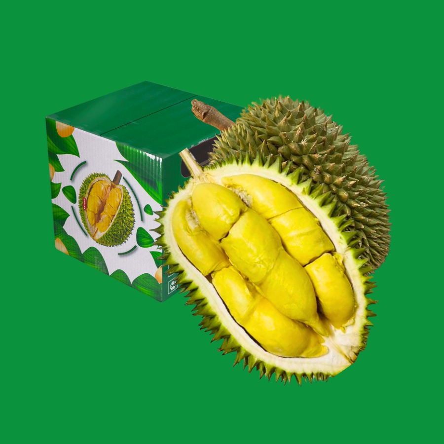 Trái - Sầu Riêng 6 Hữu - Khui sầu