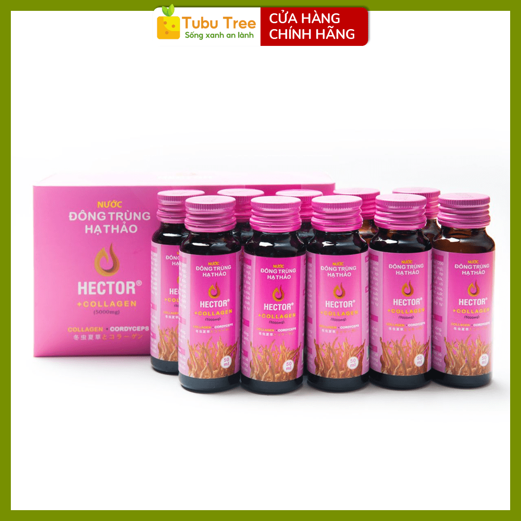 Nước Nấm Đông Trùng Hạ Thảo Hector Collagen 50ml x 10 bổ sung collagen hỗ trợ đẹp da — ảnh 8